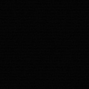 Meet your Posher, Brady